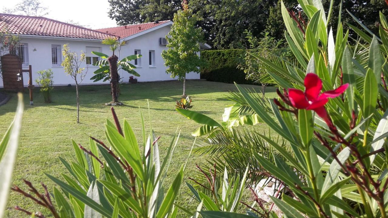 Saint-Pandelon Chambres D'Hotes - Le Petit Bali المظهر الخارجي الصورة